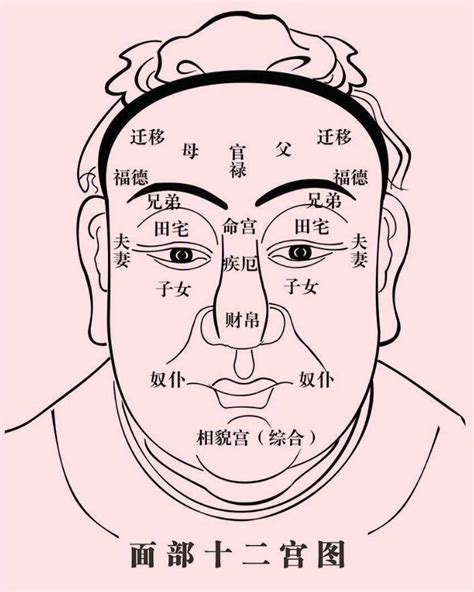 陰騭紋|可增福延壽的陰德紋